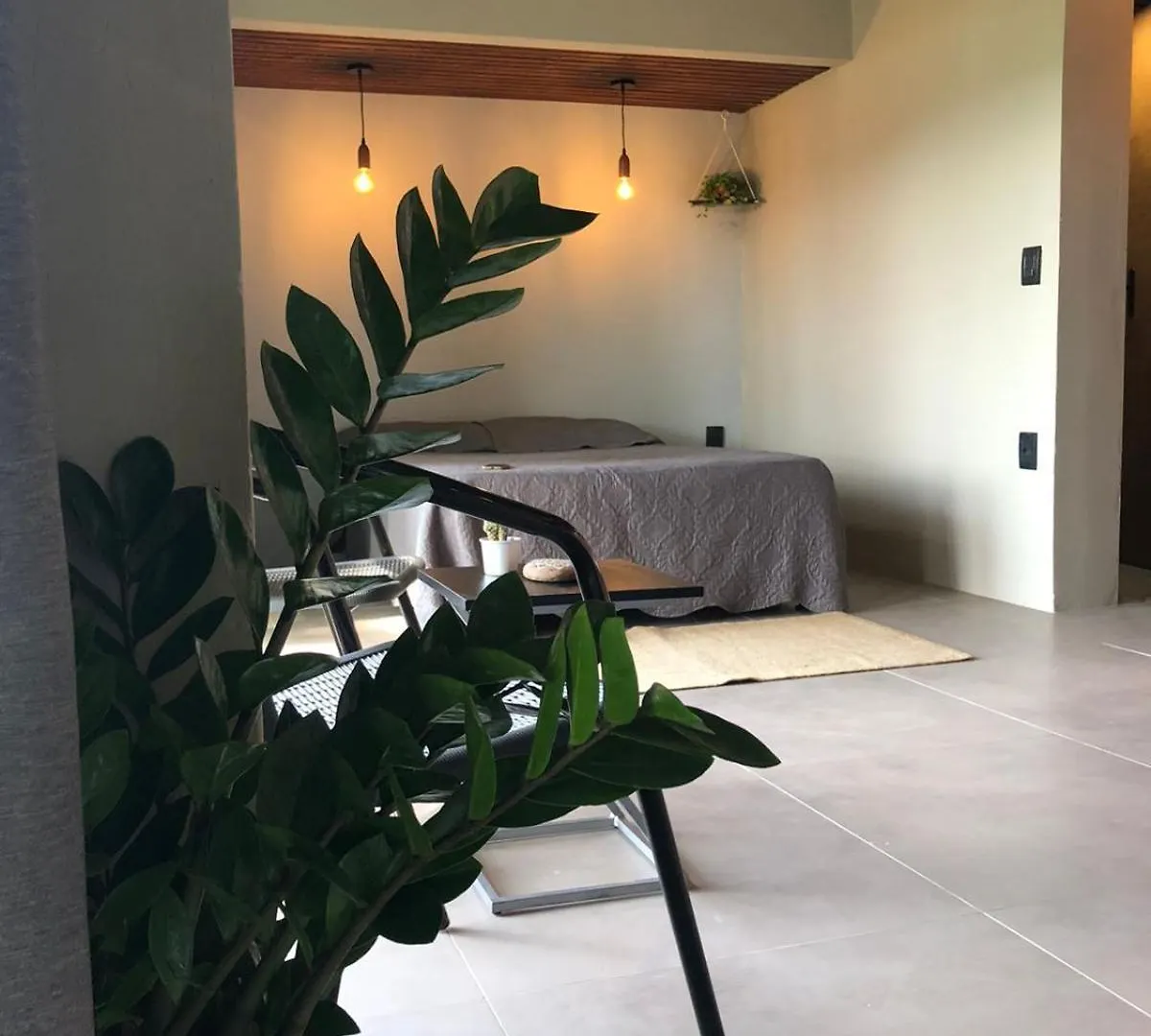Loft Recanto Da Natureza Praia Mole Barra Da Lagoa Florianopolis Holiday home